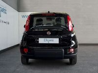 Usata Fiat Panda 69 CV (50 kW) 2024 Nero Utilitaria