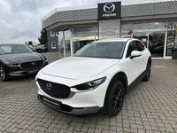Gebraucht Mazda CX-30 Selection 150 PS (110 kW) 2021 Snowflake white pearl SUV