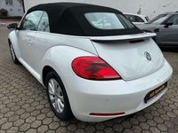 gebraucht VW Beetle Cabriolet Design