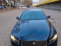 Gebraucht Jaguar XE Pure 179 PS (131 kW) 2019 Blau Limousine