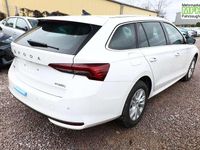 Neu Skoda Octavia Selection 150 PS (110 kW) 2026 Candyweiß Kombi