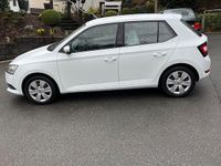 Gebraucht Skoda Fabia Cool Plus 75 PS (55 kW) 2019 Weiß Kleinwagen