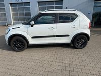 Gebraucht Suzuki Ignis Comfort 90 PS (66 kW) 2019 Weiß SUV