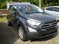 gebraucht Ford Ecosport Cool&Connect 100PS_WintPaket_Metallic_