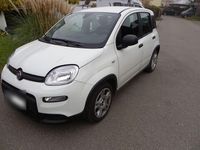 Gebraucht Fiat Panda 69 PS (50 kW) 2024 Weiß Kleinwagen