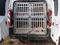 gebraucht Fiat Scudo Langversion Sonder kfz Hundetransporter