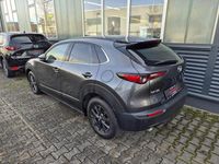 Gebraucht Mazda CX-30 186 PS (136 kW) 2024 Grau SUV
