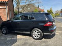 Gebraucht Mercedes ML350 258 PS (189 kW) 2012 Schwarz SUV