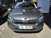 Gebraucht Skoda Octavia 150 PS (110 kW) 2026 Grau Kombi