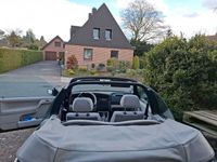 Gebraucht VW Golf Cabriolet 116 PS (85 kW) 1995 Grün Cabrio
