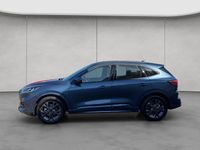 Brugt Ford Kuga ST-Line 150 HK (110 kW) 2024 Blå SUV