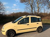 Gebraucht Fiat Panda 54 PS (39 kW) 2012 Gelb Kleinwagen