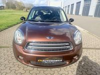 Gebraucht Mini Cooper Countryman 122 PS (89 kW) 2015 Braun SUV