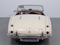 Brugt Austin Healey 100 90 HK (66 kW) 1954 Hvid Cabriolet