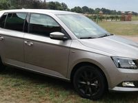 Gebraucht Skoda Fabia Drive 110 PS (80 kW) 2018 Beige Kleinwagen