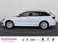 Gebraucht Skoda Octavia Selection 150 PS (110 kW) 2025 Moonweiss metallic Kombi