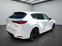 Gebraucht Mazda CX-60 Homura-Line 200 PS (147 kW) 2023 Weiß SUV