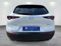 Neu Mazda CX-30 Homura-Line 186 PS (136 kW) 2026 Weiß SUV