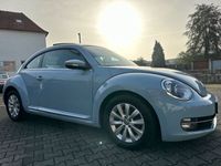 gebraucht VW Beetle 2.0 TDI DPF Exclusive Design/Pano/Sitzheizung
