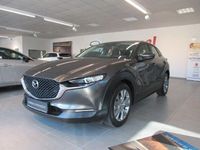 Gebraucht Mazda CX-30 Selection 122 PS (89 kW) 2022 Grau SUV