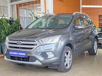 Gebraucht Ford Kuga Titanium 150 PS (110 kW) 2019 Grau SUV