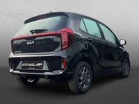 Neu Kia Picanto Vision 68 PS (50 kW) 2026 Andere Kleinwagen