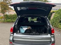 gebraucht BMW X5 xDrive30d - M Paket Pano B&W Shadow Line