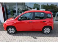Gebraucht Fiat Panda Easy 69 PS (50 kW) 2019 Colore esterno (bartolini rot) Kleinwagen