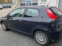 Gebraucht Fiat Punto 2009 Blau Kleinwagen