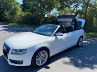 Gebraucht Audi A5 Cabriolet Design 177 PS (130 kW) 2011 Weiß Cabrio