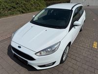 Usata Ford Focus 2015 Bianco Station wagon