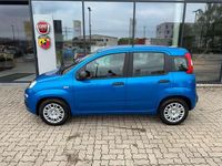 Neu Fiat Panda 69 PS (50 kW) 2025 Blau Kleinwagen
