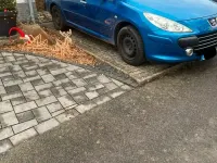 Gebraucht Peugeot 307 110 PS (80 kW) 2005 Blau Kombi