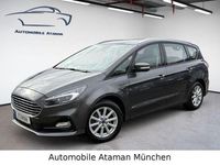 Gebraucht Ford S-MAX S 190 PS (139 kW) 2020 Grau Van / Kleinbus