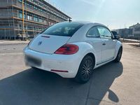 Usata VW Beetle 77 CV (56 kW) 2014 Bianco Utilitaria