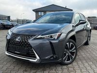 Gebraucht Lexus UX 250h Luxury Line 185 PS (136 kW) 2022 Grau SUV