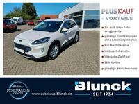 Gebraucht Ford Kuga Titanium X 224 PS (164 kW) 2022 Arktisweiss (metallic) SUV