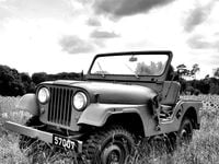 Occasion Jeep Willys 69 ch (50 kW) 1969 Vert SUV