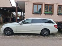 Gebraucht Mercedes E300 231 PS (169 kW) 2012 Kombi