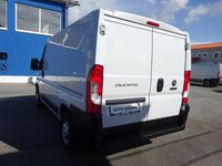 Gebraucht Fiat Ducato 120 PS (88 kW) 2020 Weiß Van