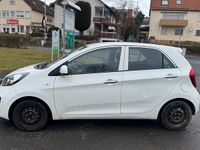 Gebraucht Kia Picanto 69 PS (50 kW) 2013 Weiß Kleinwagen