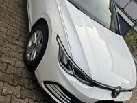 Gebraucht VW Golf VIII 131 PS (96 kW) 2021 Weiß Kleinwagen