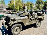 Usata Jeep Willys 72 CV (52 kW) 1960 Verde SUV