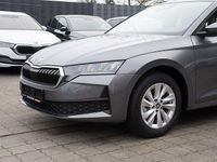 Neu Skoda Octavia Essence 116 PS (85 kW) 2025 Grau Kombi