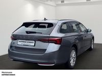 Gebraucht Skoda Octavia Selection 150 PS (110 kW) 2025 Grau Kombi