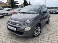 Gebraucht Fiat 500 69 PS (50 kW) 2023 Grau Kleinwagen