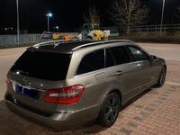 gebraucht Mercedes E220 T-model, AVANTGARD