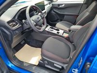 Neu Ford Kuga ST-Line 179 PS (131 kW) 2025 Blau SUV
