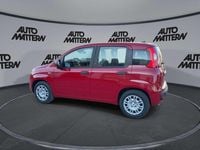 Neu Fiat Panda Icon 65 PS (47 kW) 2026 Rot Kleinwagen