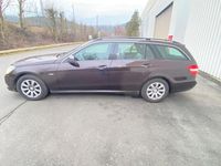 Gebraucht Mercedes E220 170 PS (125 kW) 2010 Violet Kombi